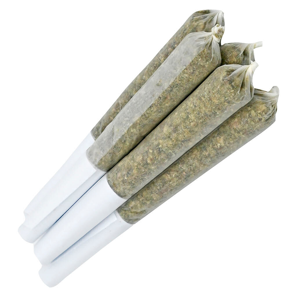 Big Terp Energy Pre-Roll