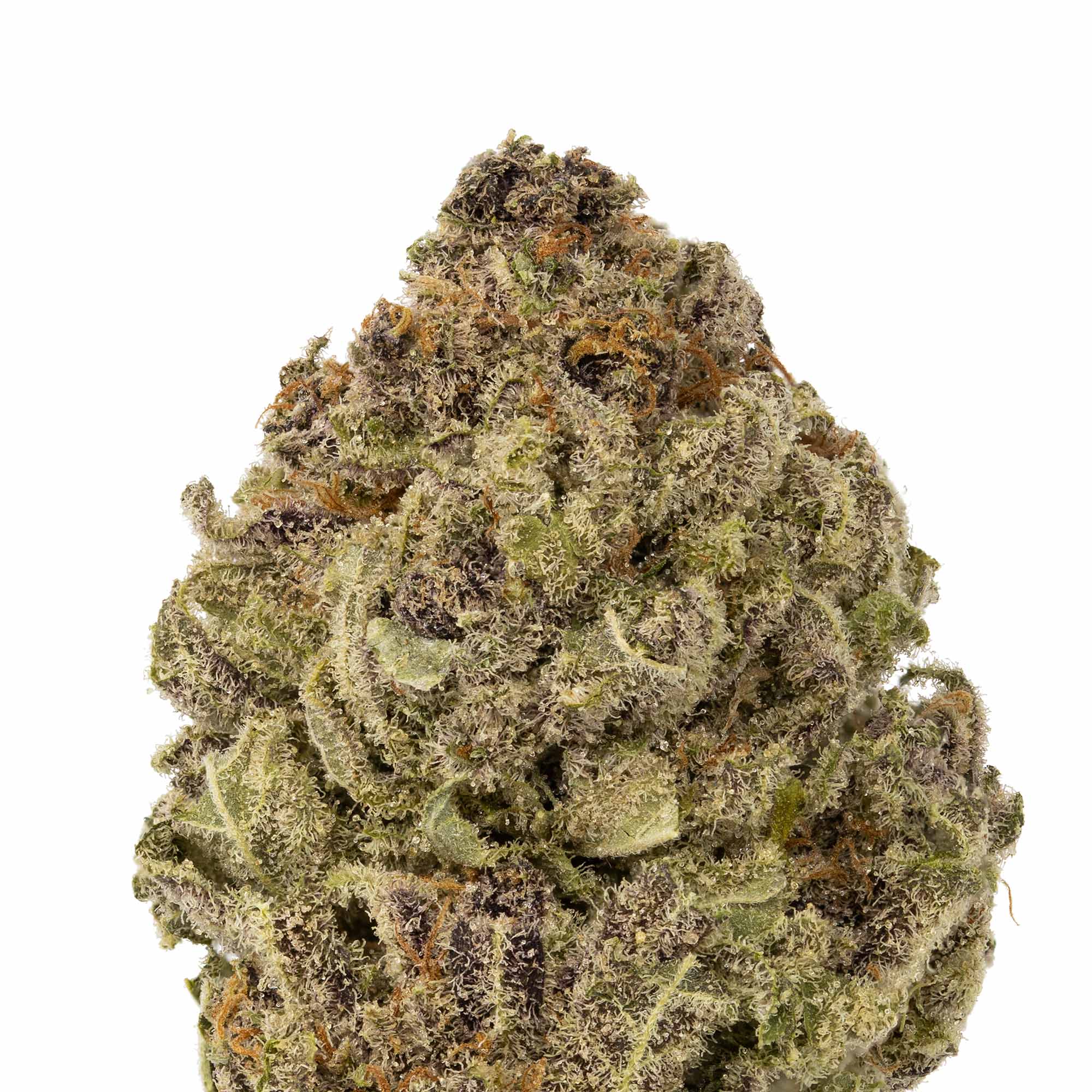 Blue Cheese Herbal Dispatch Blue Cheese Herbal Dispatch