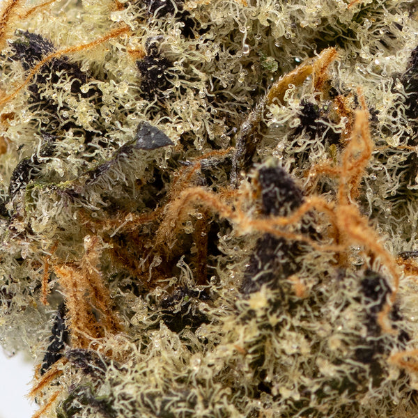 Naked Mummer Cactus Breath – Herbal Dispatch