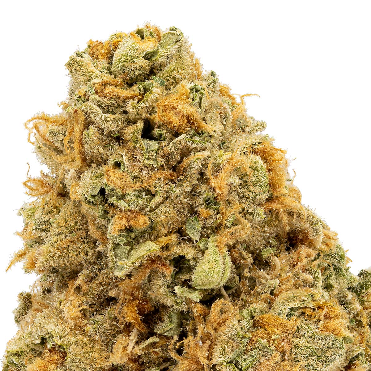 strawberry guava strain seeds Strawberry Guava – Herbal Dispatch